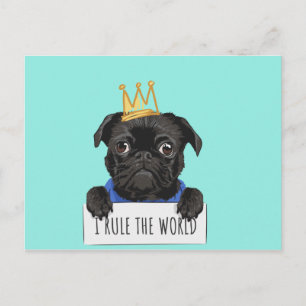 Black Pug Dog W / Crown Rule The World Postcard