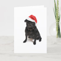 Black pug dog with red santa hat