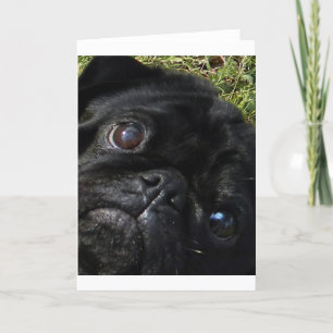 black-pug eyes card