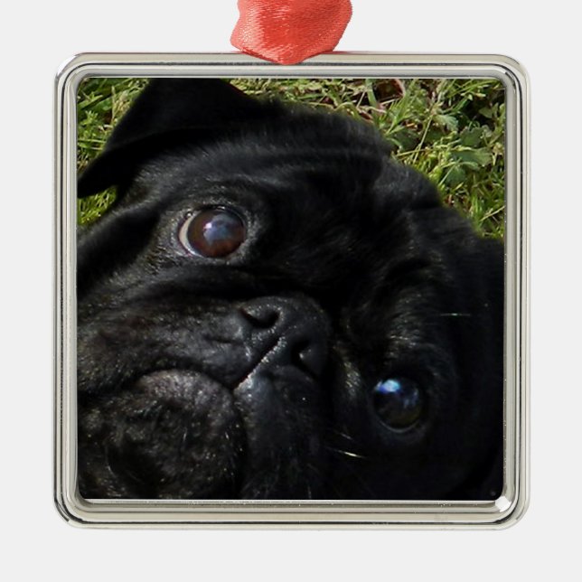 black pug eyes metal tree decoration (Front)