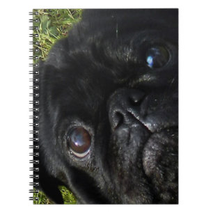 black-pug eyes notebook
