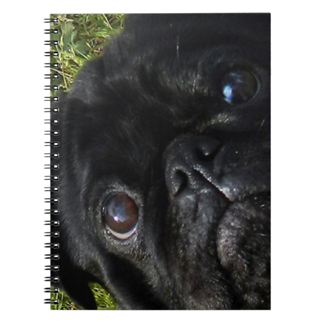 black-pug eyes notebook (Front)