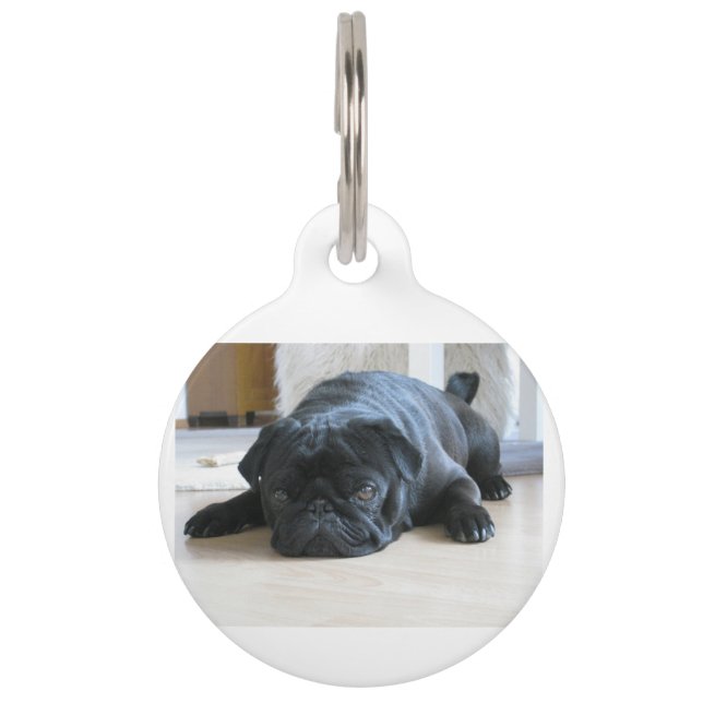 black pug flat pet tag (Front)