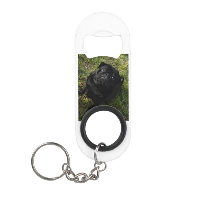 black-pug full.png (Front)