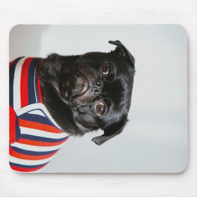 Black Pug In A Sweater Blanket Mouse Mat (Front)
