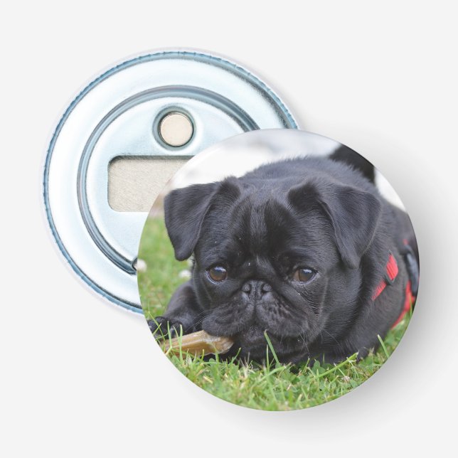 black pug laying bottle opener (Front)
