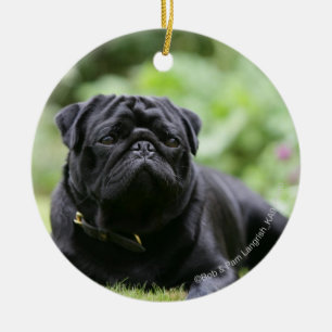 Black Pug Laying Down Ceramic Tree Decoration
