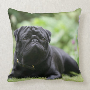 Black Pug Laying Down Cushion