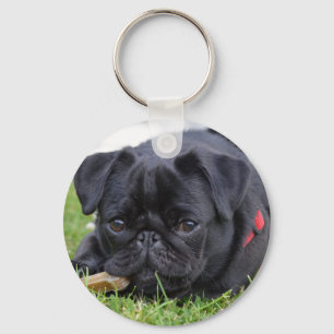 black pug laying key ring