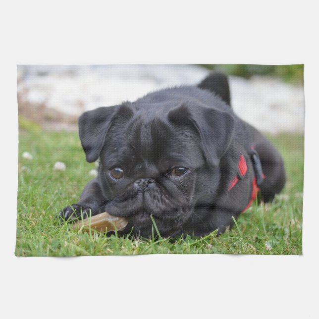 black pug laying tea towel (Horizontal)