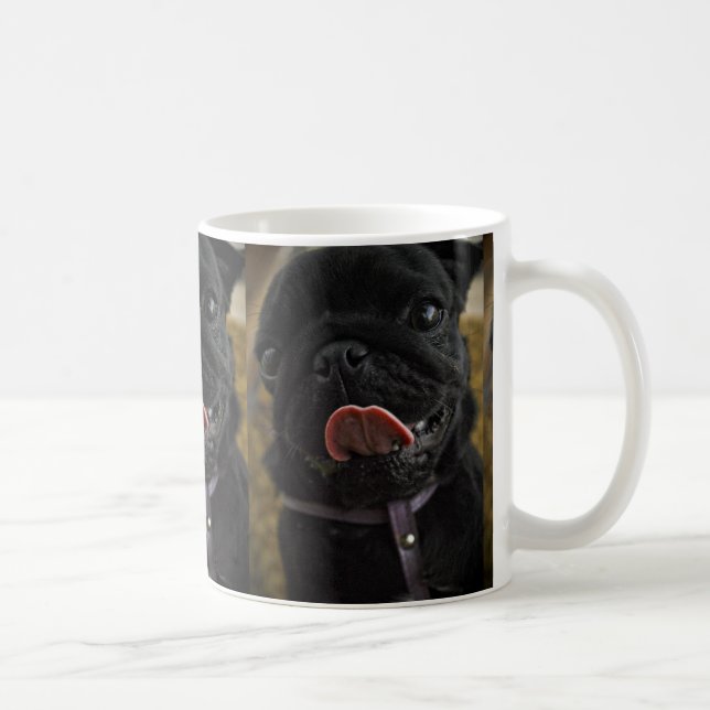 black pug licking coffee mug (Right)