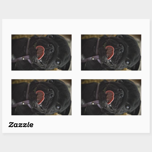 black pug licking rectangular sticker (Sheet)