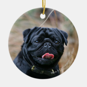 Black Pug Panting While Looking at Camera Ceramic Tree Decoration