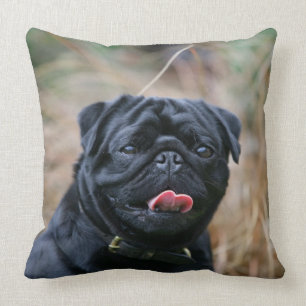 Black Pug Panting While Looking at Camera Cushion