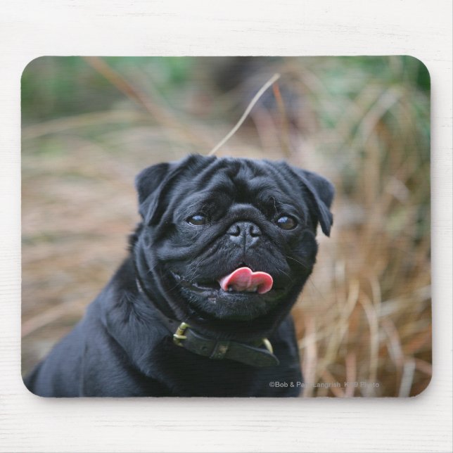 Black Pug Panting While Looking at Camera Mouse Mat (Front)