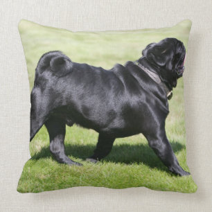 Black Pug Panting While Walking Cushion
