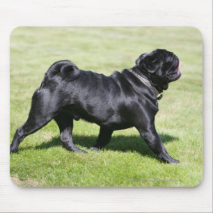Black Pug Panting While Walking Mouse Mat