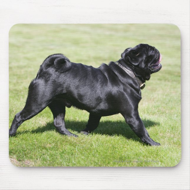 Black Pug Panting While Walking Mouse Mat (Front)