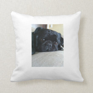 Black Pug Pillow