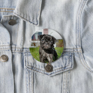 bLACK PUG PUPPY  7.5 Cm Round Badge