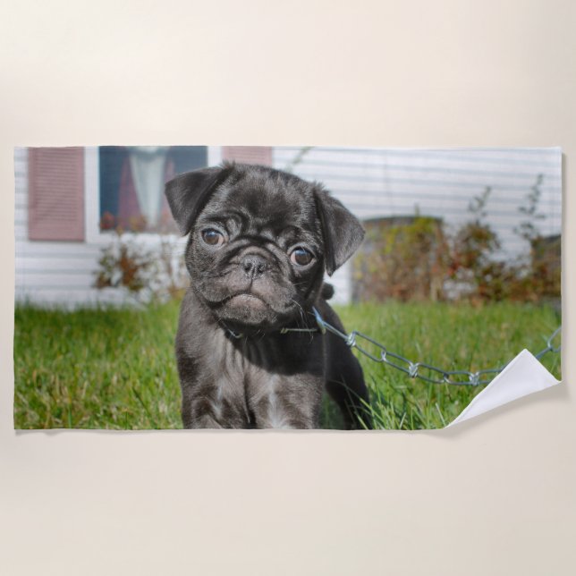 Black Pug Puppy Beach Towel (Front)