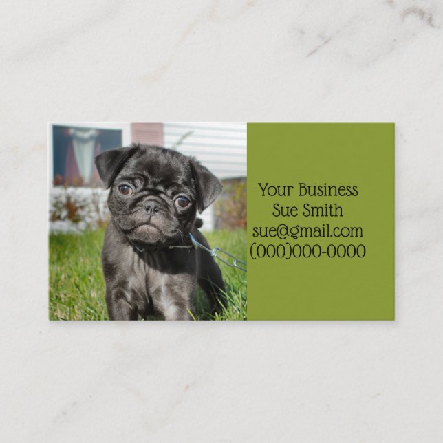 Black pug puppy business card (Front)