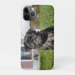 Black Pug puppy iPhone 11 Pro Case