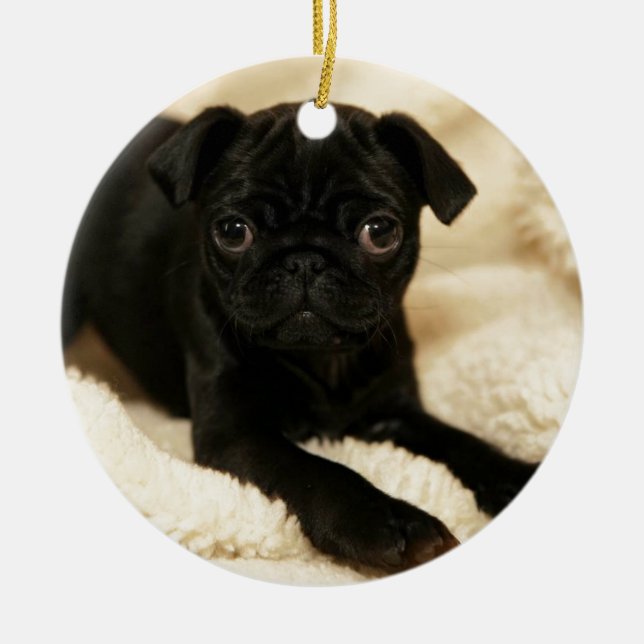 Black Pug Puppy Ceramic Tree Decoration (Front)