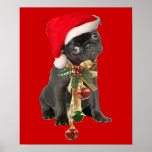 Black Pug Puppy Christmas Portrait Poster