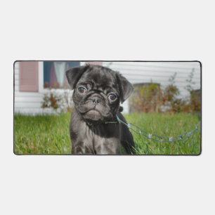 Black Pug Puppy Desk Mat