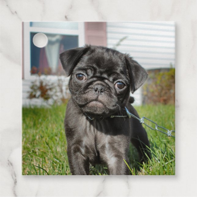 Black pug puppy favour tags (Front)