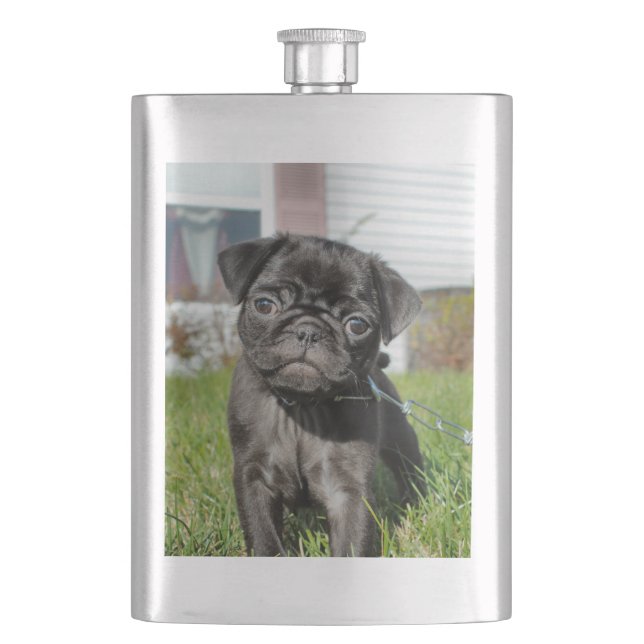 Black pug puppy hip flask (Front)