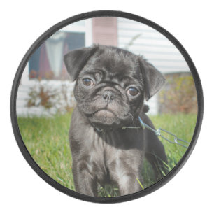 Black Pug Puppy Hockey Puck