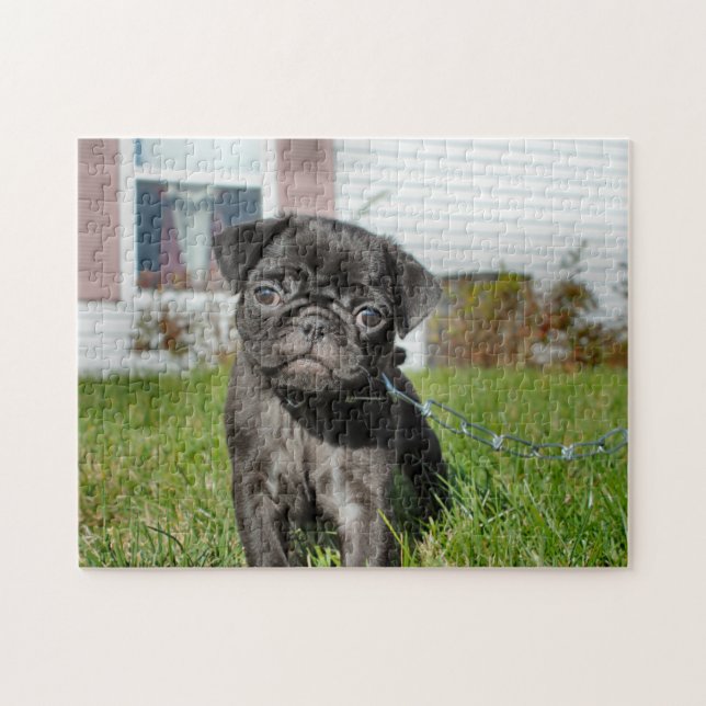 Black Pug puppy Jigsaw Puzzle (Horizontal)