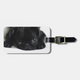 Black Pug Puppy Luggage Tag
