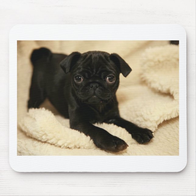 Black Pug Puppy Mouse Mat (Front)