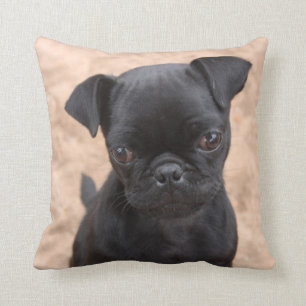 Black pug puppy pillow
