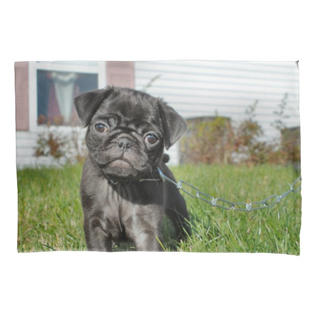 Black Pug puppy Pillowcase (Front)