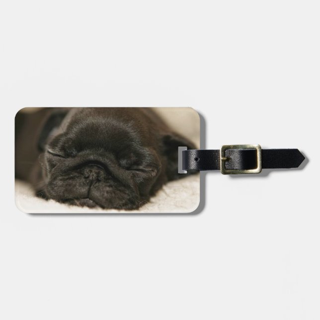 Black Pug Puppy Sleeping Luggage Tag (Front Horizontal)