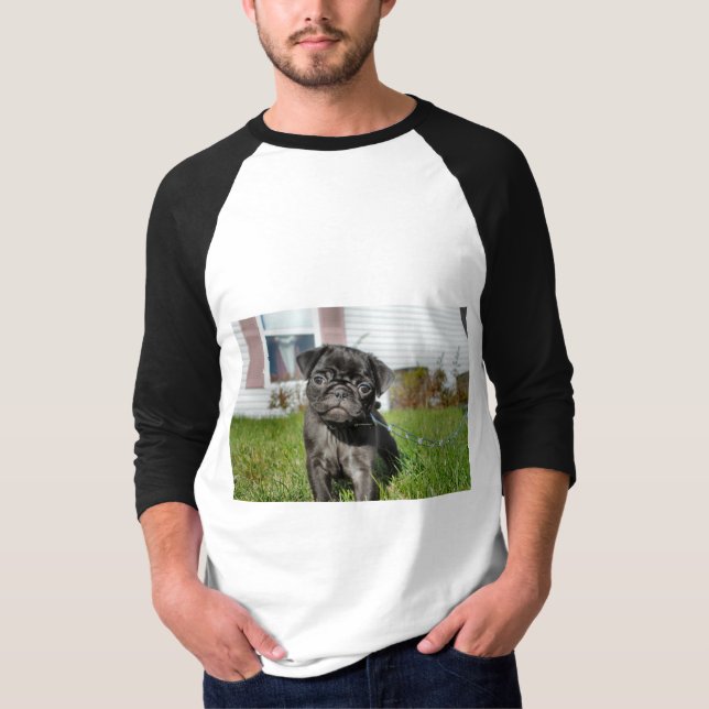 Black pug puppy  T-Shirt (Front)