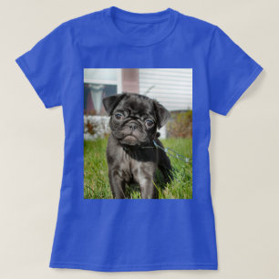 Black pug puppy T-Shirt