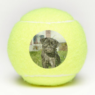 Black Pug Puppy Tennis Balls