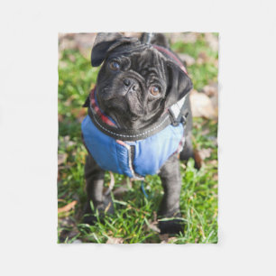Black Pug Puppy Wearing A Jacket Fleece Blanket
