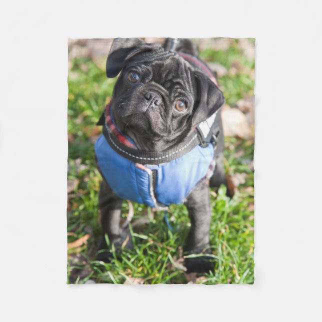 Black Pug Puppy Wearing A Jacket Fleece Blanket (Front)