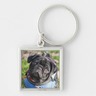 Black Pug Puppy Wearing A Jacket Key Ring