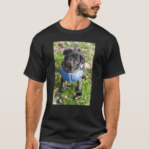 Black Pug Puppy Wearing A Jacket T-Shirt