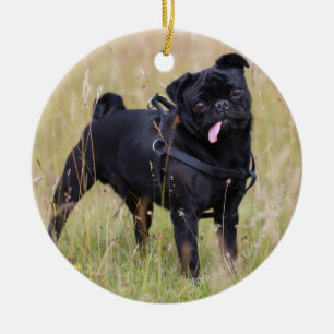 Black Pug Sticking Out Tounge Ceramic Tree Decoration