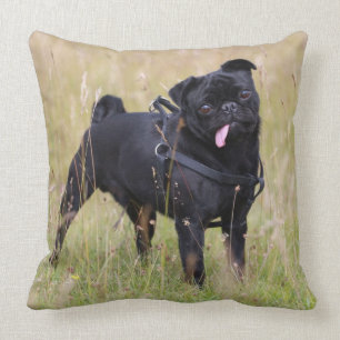 Black Pug Sticking Out Tounge Cushion