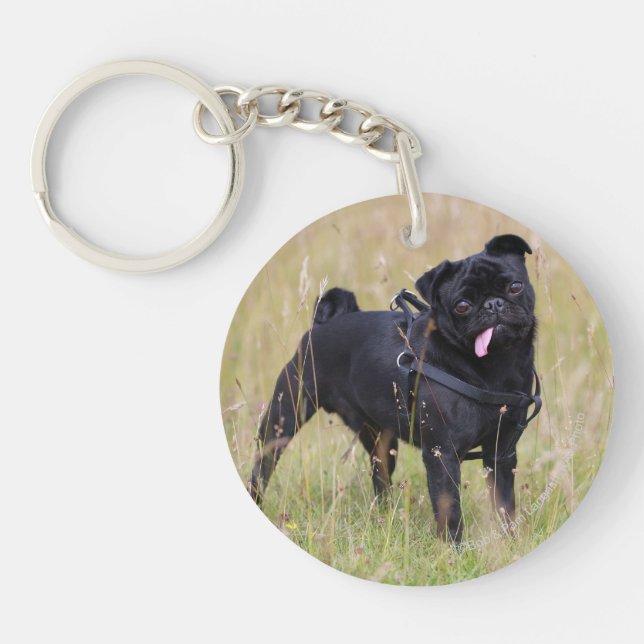 Black Pug Sticking Out Tounge Key Ring (Front)