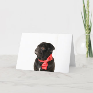 Black pug  with red bow holiday card